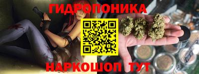гашик Пушкино