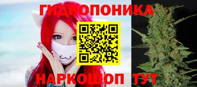 гашик Пушкино